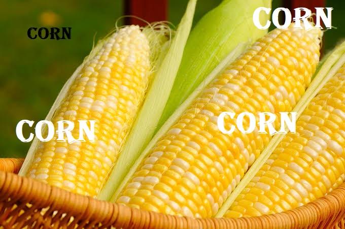 corn